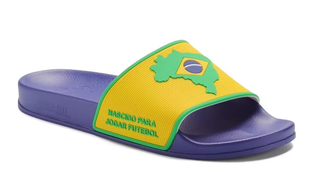 Ginga Slides