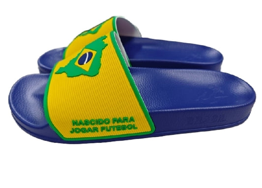 Ginga Slides